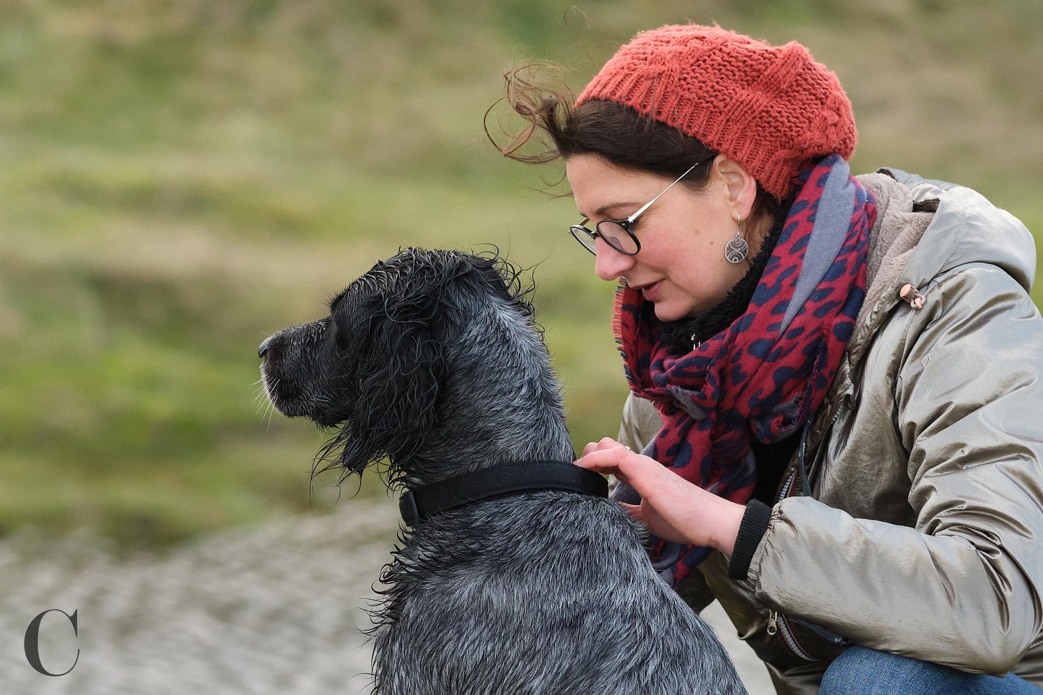 Cécile Le Couédic : photographe canin. photo chien, photographie canine, Manche, Normandie, Bretagne, portrait canin, chiot