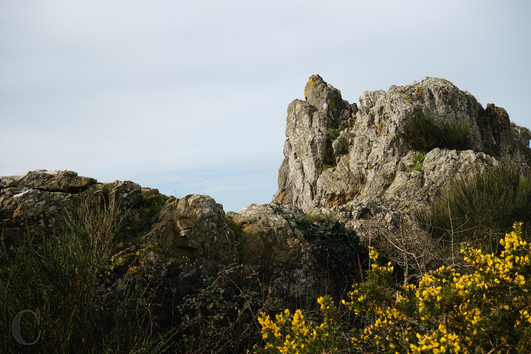 Sentier_des_Douaniers_Mont_Saint_Michel_DSF2216CECILE LE COUEDIC