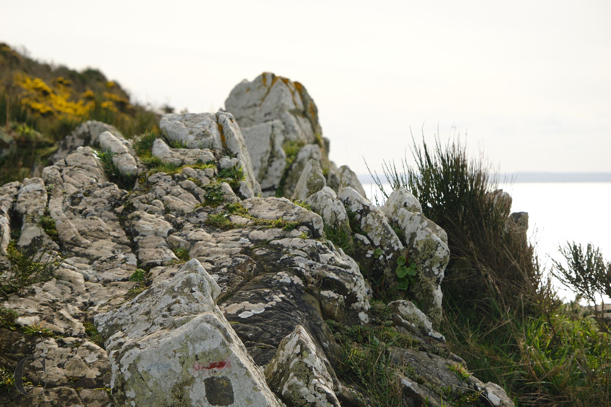 Sentier_des_Douaniers_Mont_Saint_Michel_DSF2226CECILE LE COUEDIC