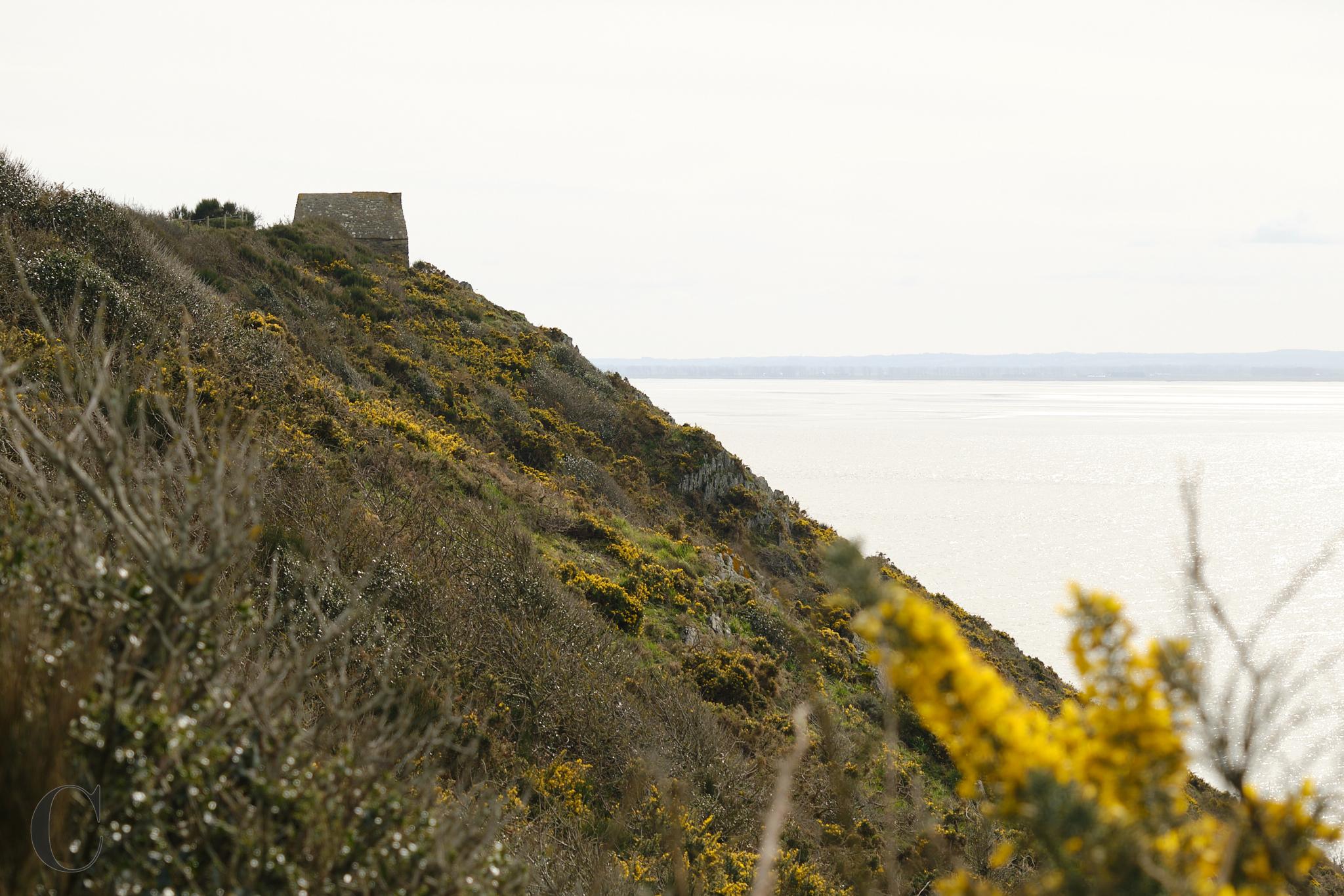 Sentier_des_Douaniers_Mont_Saint_Michel_DSF2237CECILE LE COUEDIC