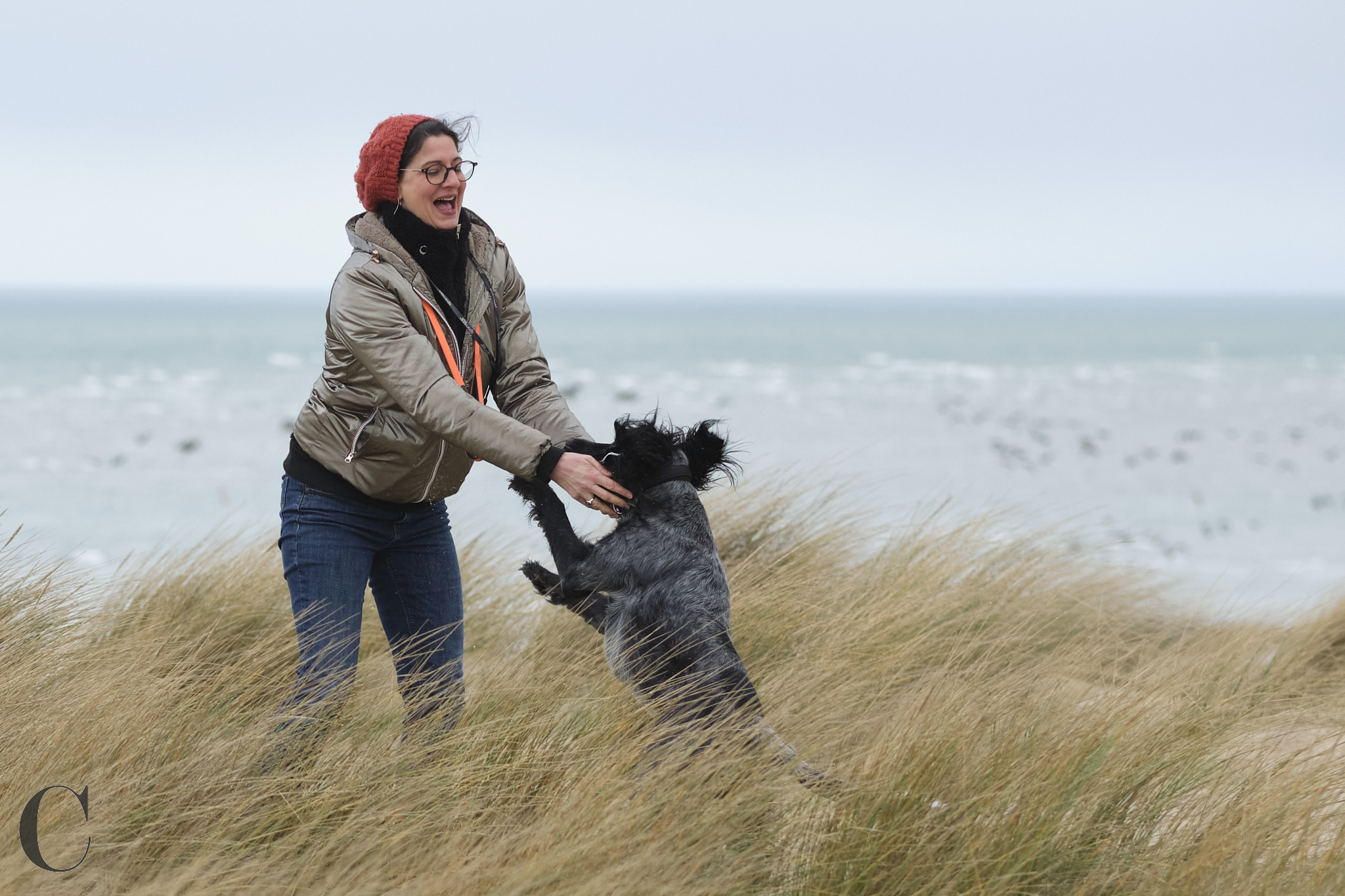 Cécile Le Couédic : photographe canin. photo chien, photographie canine, Manche, Normandie, Bretagne, portrait canin, chiot