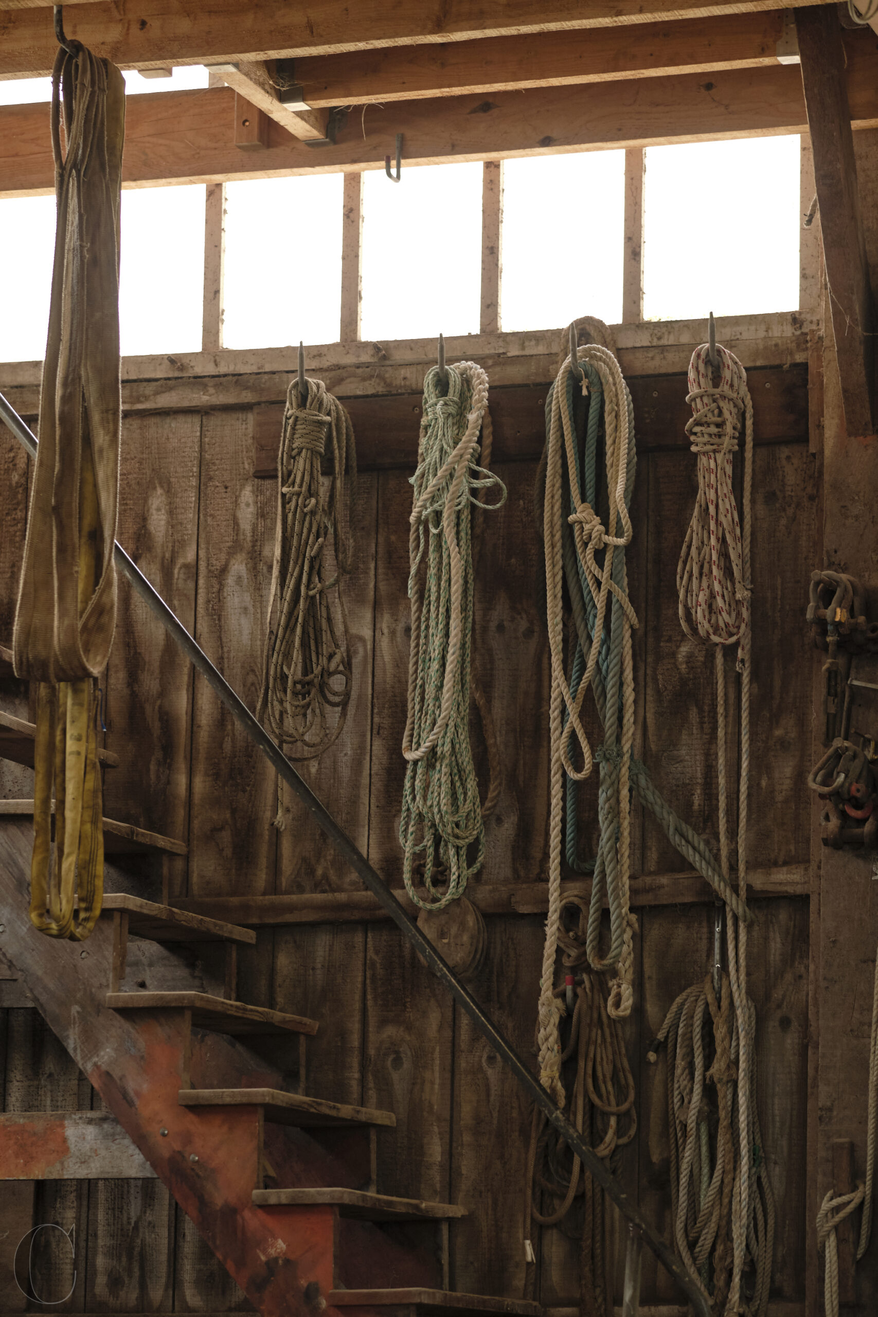 Chantier du Boscq – webCECILE LE COUEDIC_DSF0966