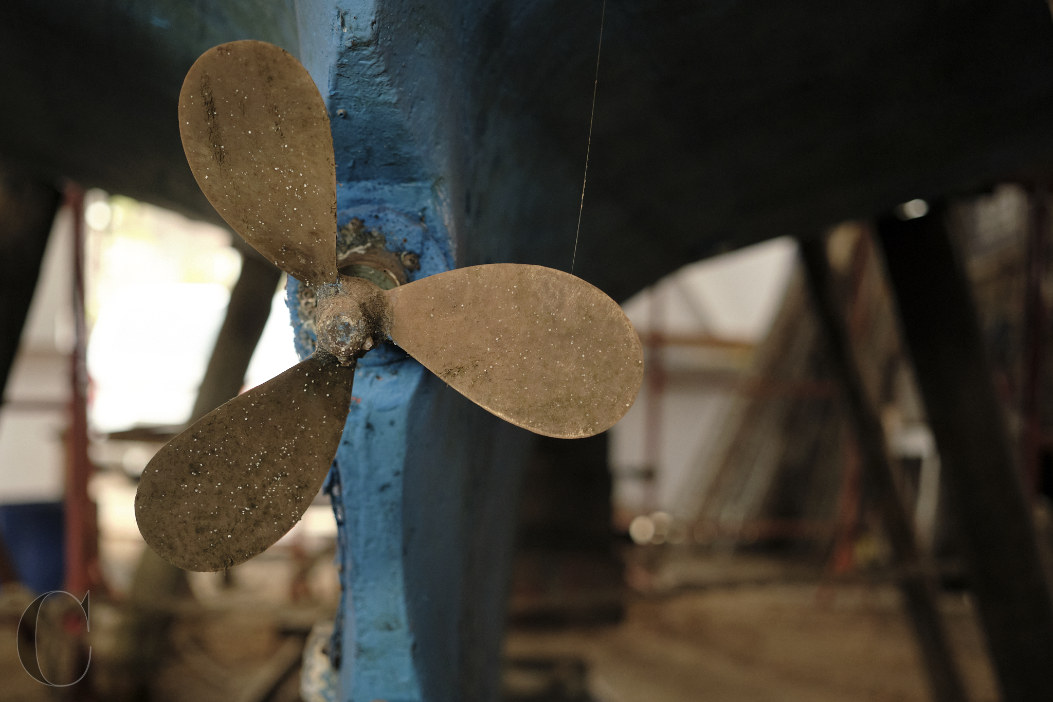 Chantier du Boscq – webCECILE LE COUEDIC_DSF9949